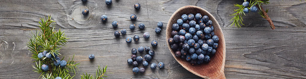 Gin Botanical Recipes