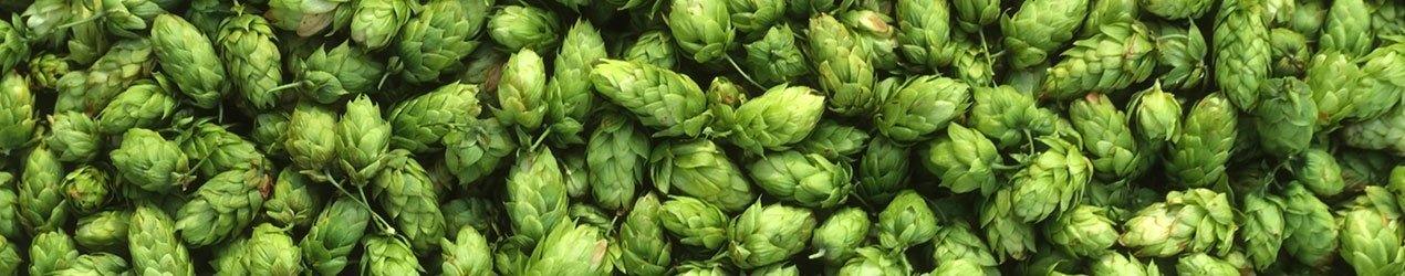 Hop Flavour Guide - Brew HQ Pty Ltd