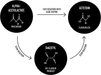 Diagram showing the reaction process from alpha-acetolactate to acteotoin and diacetyl with labeled arrows and text.