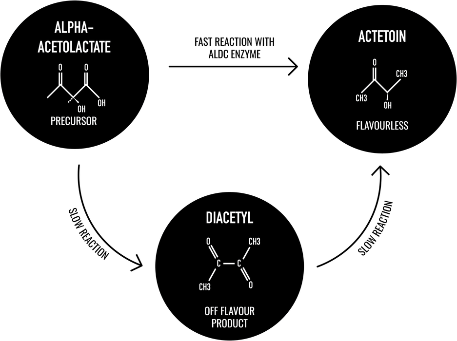 Diagram showing the reaction process from alpha-acetolactate to acteotoin and diacetyl with labeled arrows and text.