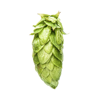 Nectaron® Hop Pellets