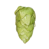 Riwaka™ Hop Pellets