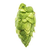 Citra® Hop Pellets