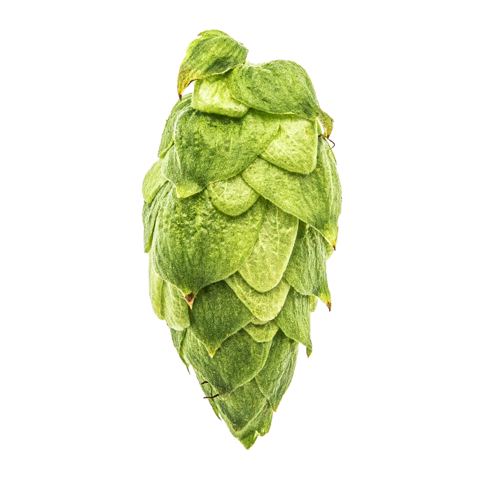 Cryo Citra® Hop Pellets