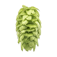 Mosaic Hop Pellets