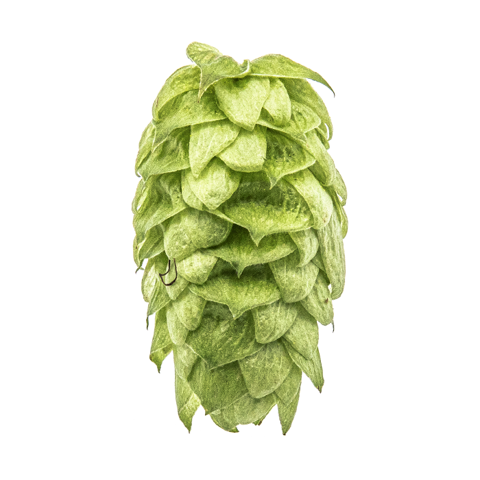 Mosaic Hop Pellets